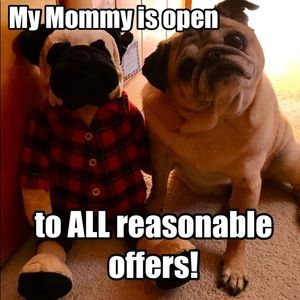 Everything must go!!!   20% off bundles of 3 !